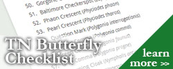 Tennessee Butterfly Checklist