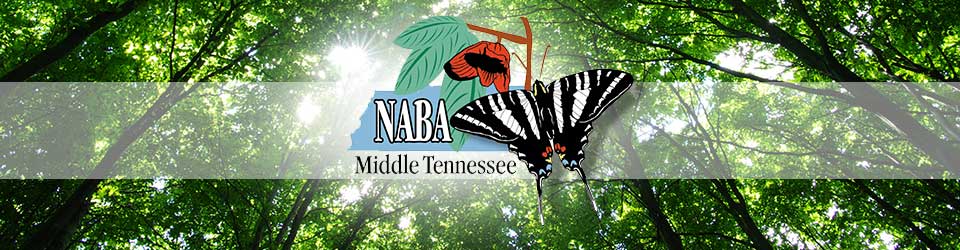 NABA Middle Tennessee Chapter