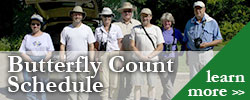 Butterfly Count Schedule